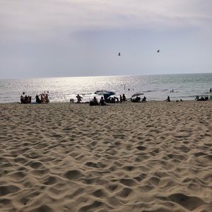 Meet your Posher, Sophia